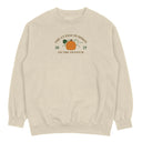 Kids Cream Cutest Pumpkin Jumper